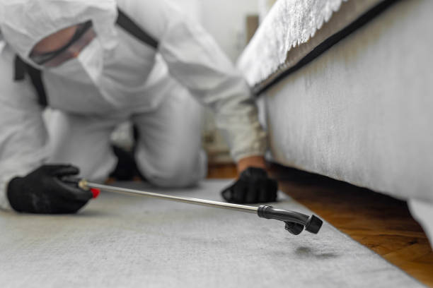 Professional Bed Bug Control technician working in Grant County County, MN